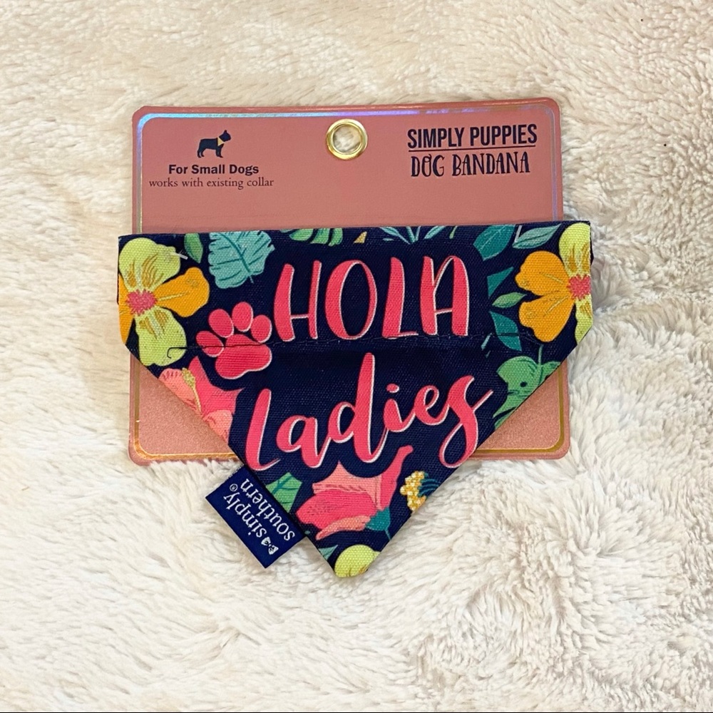 ✨🆕🐶🌺SIMPLY SOUTHERN HOLA LADIES DOG BANDANA🌺🐶